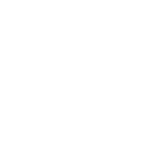 IWHR logo